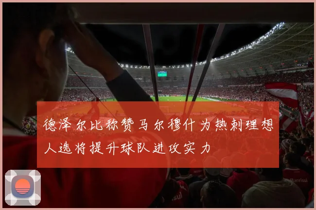 德泽尔比称赞马尔穆什为热刺理想人选将提升球队进攻实力